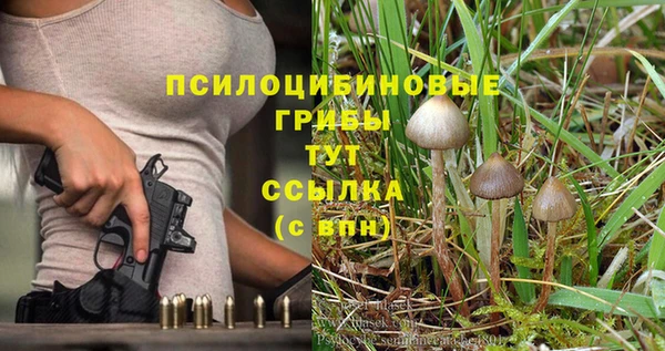 первитин Балахна