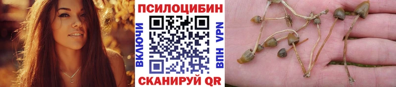 Псилоцибиновые грибы Psilocybe  Дюртюли 