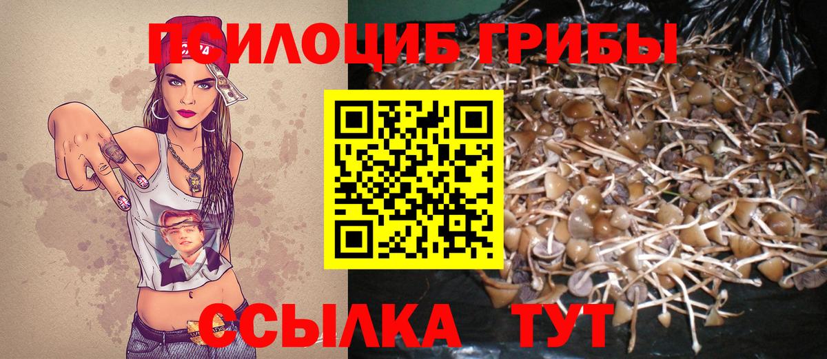 Псилоцибиновые грибы GOLDEN TEACHER Дюртюли