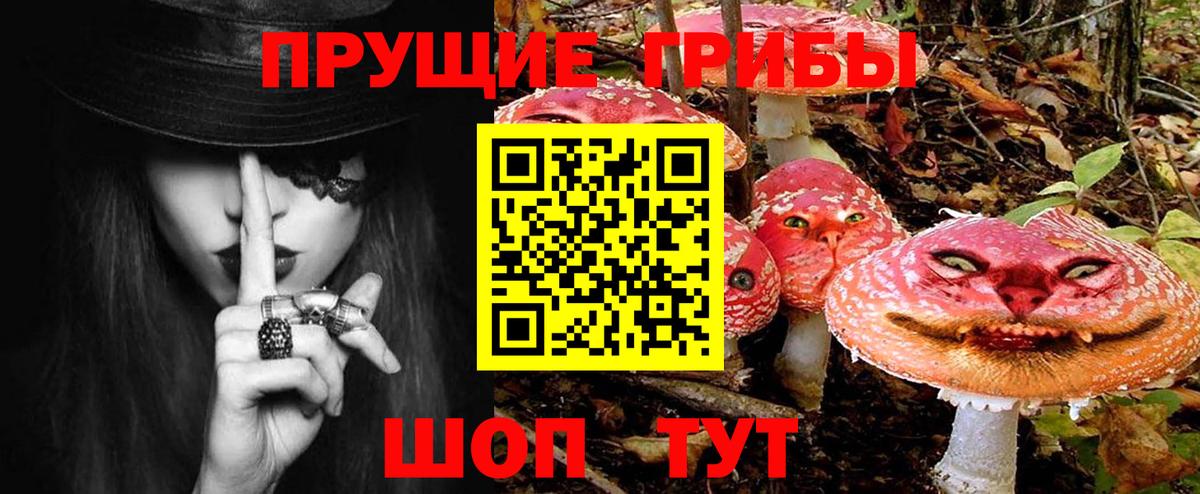 Псилоцибиновые грибы Psilocybe Дюртюли